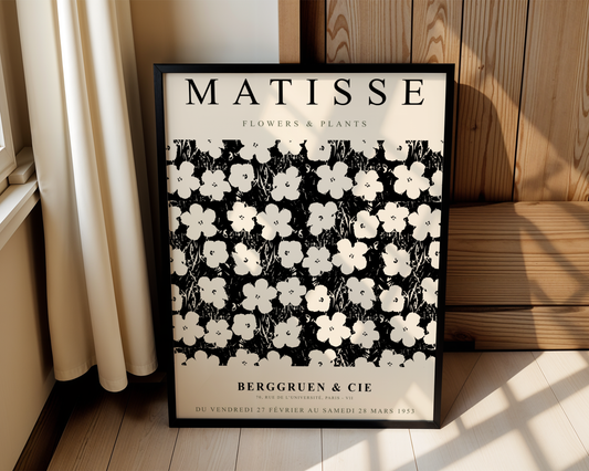 Henri Matisse 029